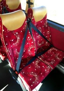 Individual Lap & Diagonal Seat Belts
